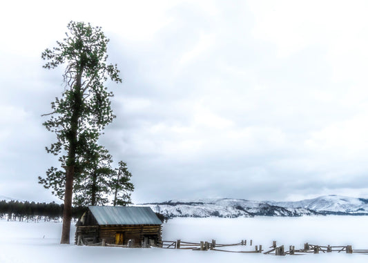 Valles Caldera in Winter