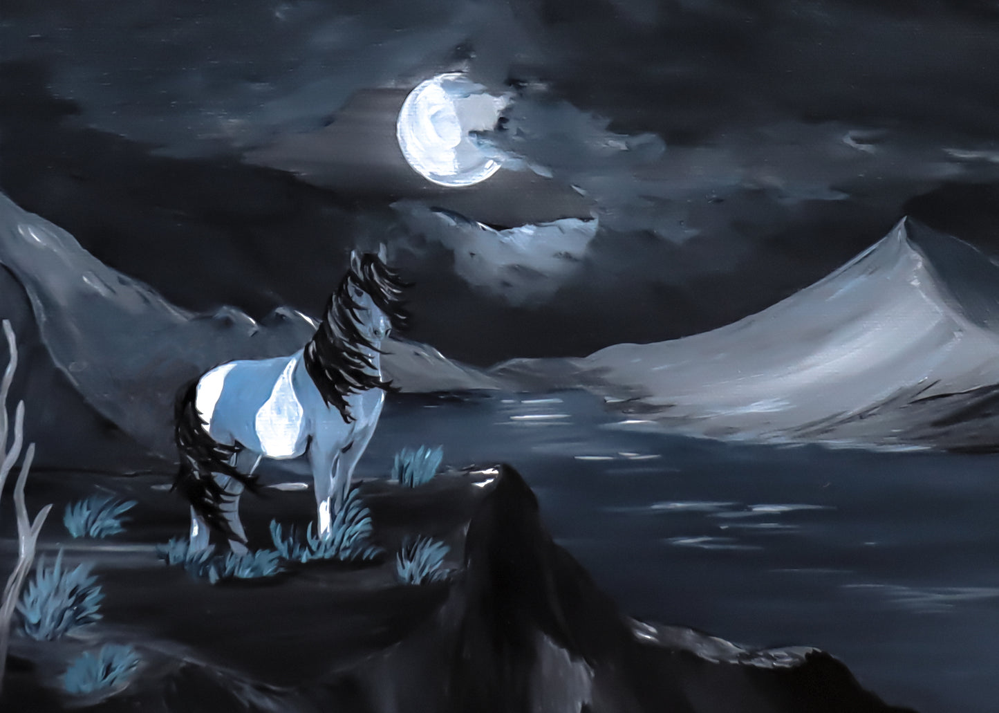Midnight Beauty Fine Art Dye Print