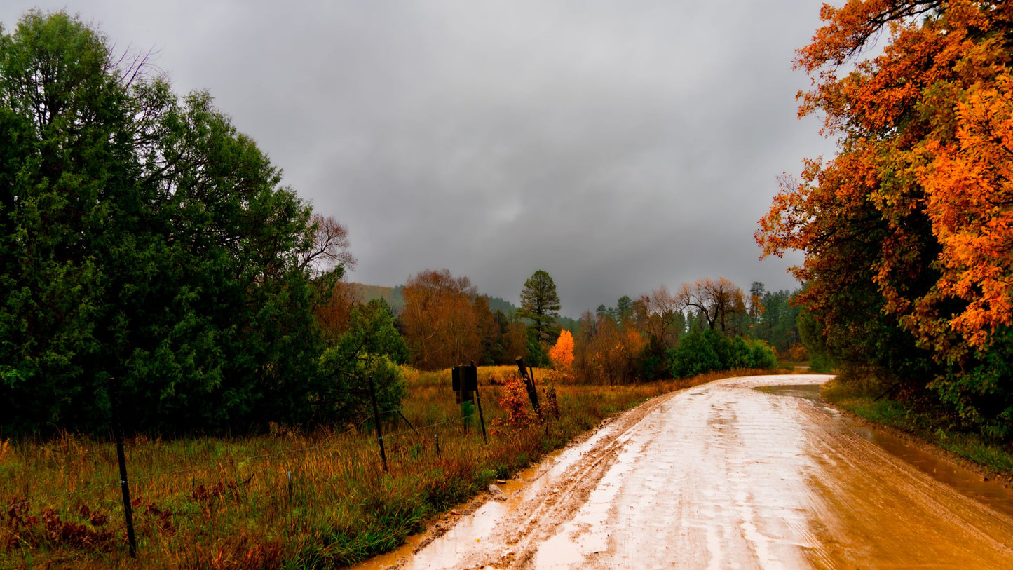 Raised on a Dirt Road