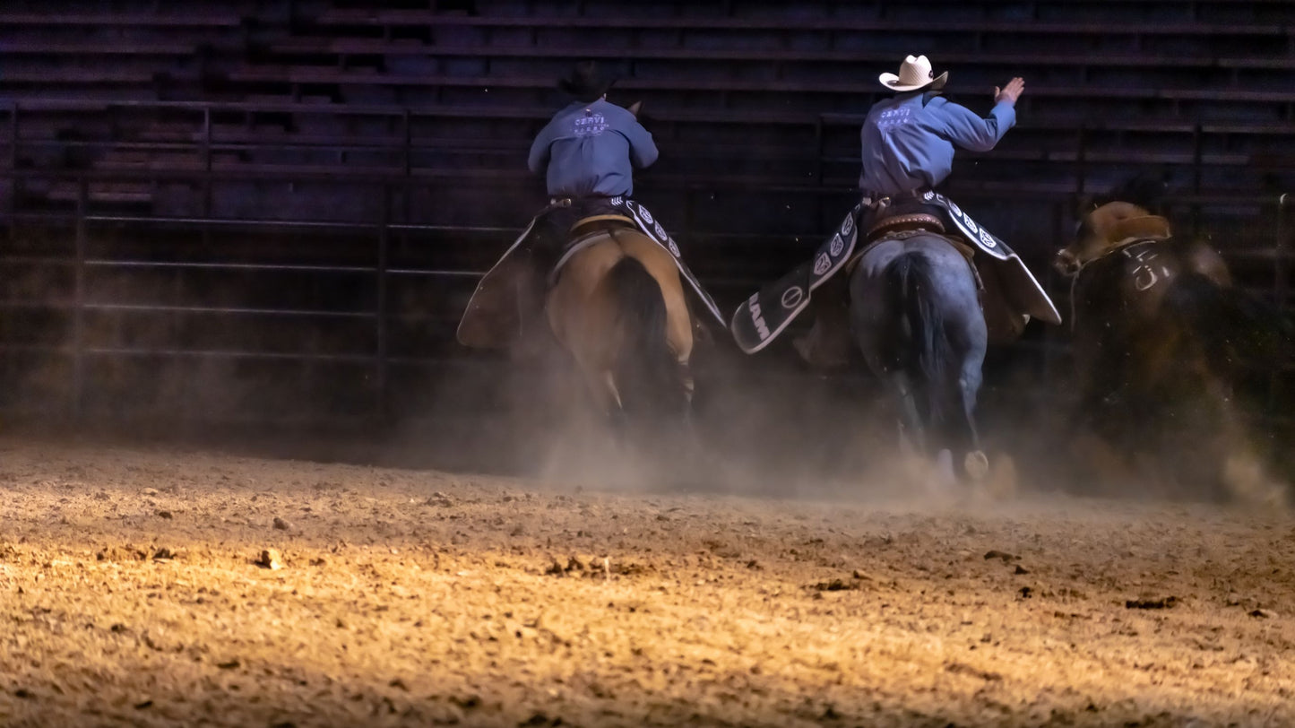 The Two Horseman