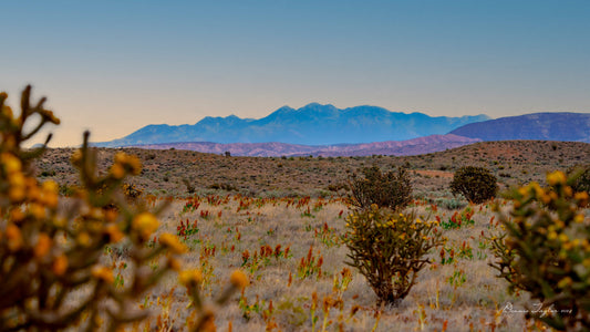 view of the Sandia Mountains