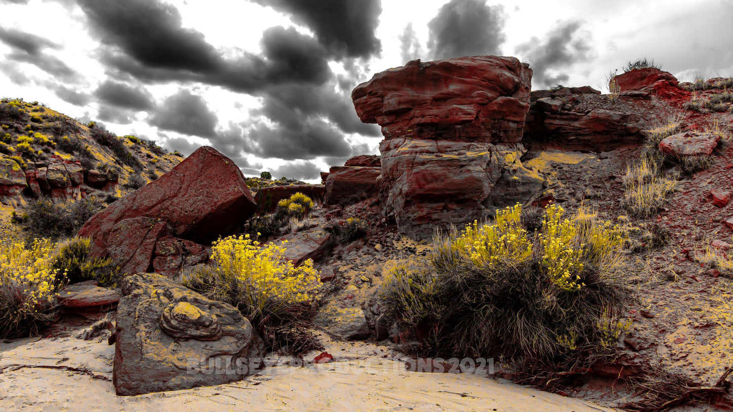 Red Rocks at Bisti